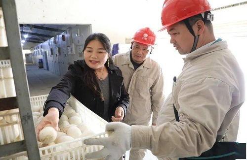 客服小哥吃瓜,揭秘网络世界的趣味瞬间