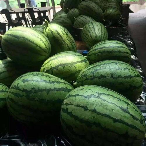 循光世吃瓜,揭秘吃瓜群众的狂欢盛宴