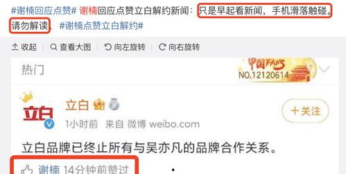 曝料吃瓜网站,曝料网站带你领略明星幕后故事