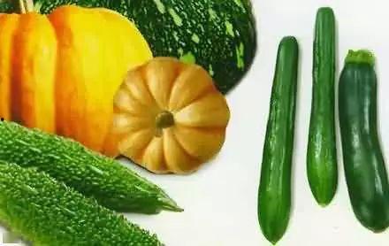 滑板吃瓜,揭秘滑板文化的魅力与争议