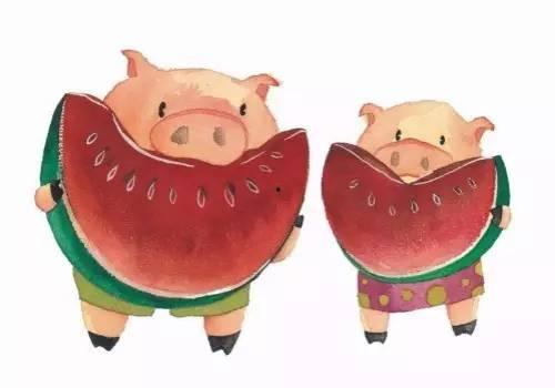 猪瓜怎么吃最好,这样吃最营养！