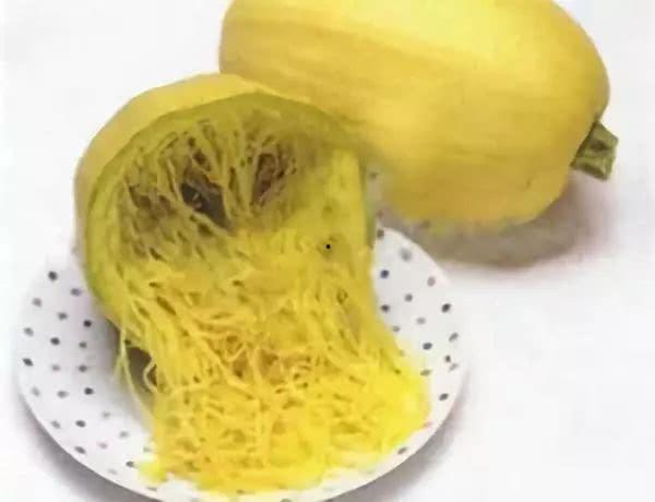 吃金丝绞瓜,探寻传统佳肴的独特魅力