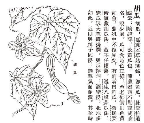 重生古代吃瓜,吃瓜群众逆袭记