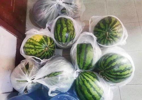 大烟瓜可以吃吗怎么吃,大烟瓜的食用方法与注意事项