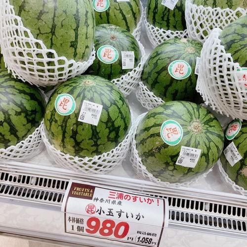 吃瓜大神仙,网络红人的崛起与影响力