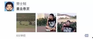 春运哈瓜群众吃瓜,群众吃瓜背后的社会观察