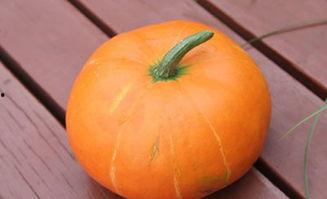 吃秋瓜的危害,警惕秋瓜危害健康之谜