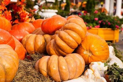 吃秋瓜的危害,警惕秋瓜危害健康之谜