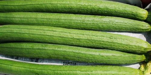 不如坐下吃瓜,瓜田笑谈间——不如坐下吃瓜