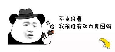 大佬文吃瓜情侣网名,揭秘“大佬文吃瓜情侣”网名背后的甜蜜故事