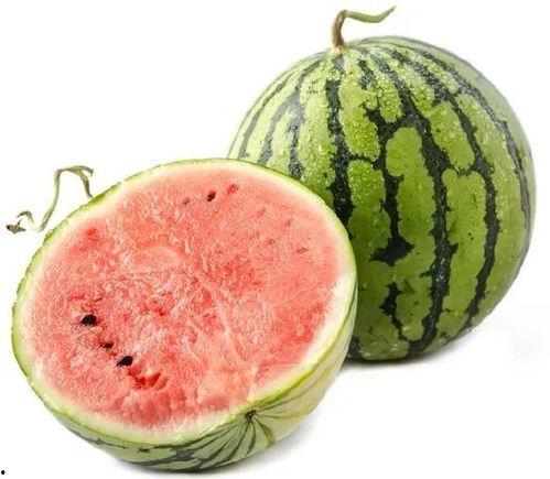 二阳吃的瓜,揭秘瓜农与瓜商的甜蜜博弈