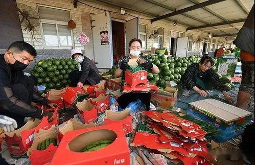 怀旧吃瓜群众图片高清,怀旧吃瓜群众高清图鉴