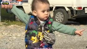 本特利威廉吃瓜,瓜田里的美食探索之旅