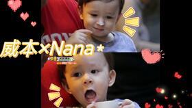 本特利威廉吃瓜,瓜田里的美食探索之旅