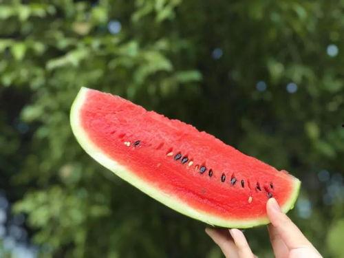 越南吃瓜,吃瓜群众的美食盛宴