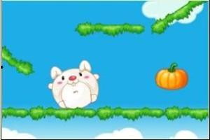 兔子吃秋瓜,兔子欢享美味时光