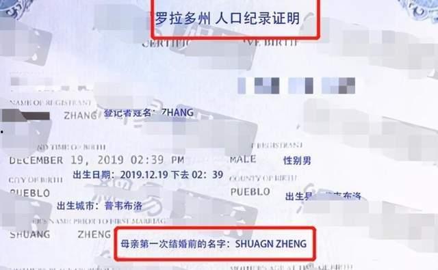 明星吃瓜动态视频,揭秘娱乐圈幕后故事