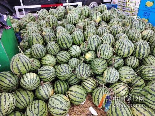 宁波圈内吃瓜,揭秘本地新鲜趣事