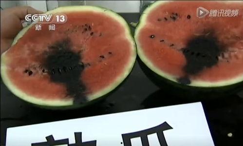 河北汾阳吃瓜视频,一场夏日乡村的欢乐盛宴