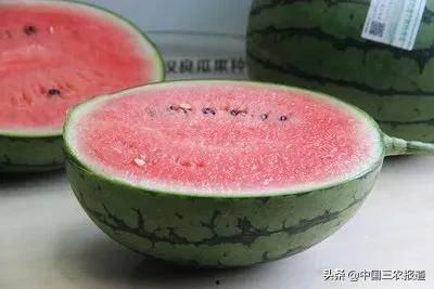 庞瓜可以吃吗,揭秘其食用价值与烹饪技巧