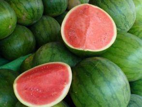 吃瓜肠胃中毒,揭秘肠胃中毒背后的真相