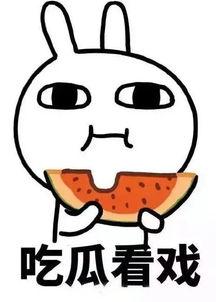 原耽吃瓜831,揭秘热门CP背后的真相与争议