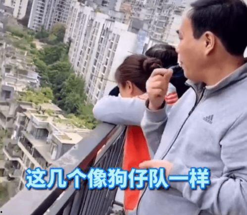 吃瓜秦俊,吃瓜群众视角下的秦俊风云录