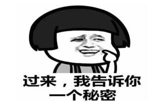 没有瓜吃没意思,生活才精彩