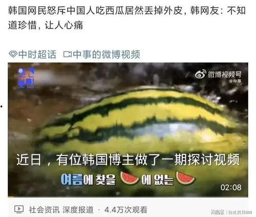 山东博主吃瓜,一网打尽网络热点事件