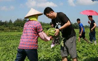 华西村吃瓜,吃瓜群众见证的乡村振兴奇迹