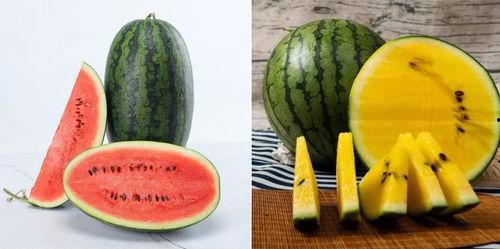 今日吃瓜线路,揭秘娱乐圈最新热点事件