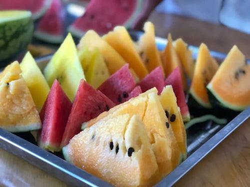 今日吃瓜线路,揭秘娱乐圈最新热点事件