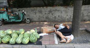 在人间贩卖日落吃瓜,揭秘人间贩卖日落背后的秘密