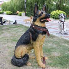 大狼狗吃瓜,揭秘动物界的趣味食趣