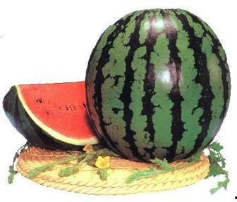 吃瓜超大瓜,吃瓜群众目瞪口呆！