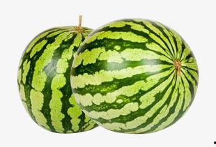 大瓜吃瓜素材下载视频,揭秘热门视频素材下载背后的故事