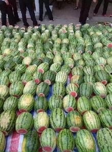 吃瓜帮派,网络时代的“瓜田”风云录