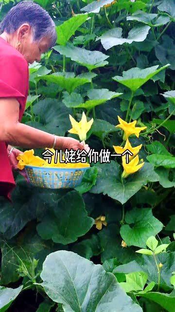半截花子吃瓜,揭秘民间美食背后的故事
