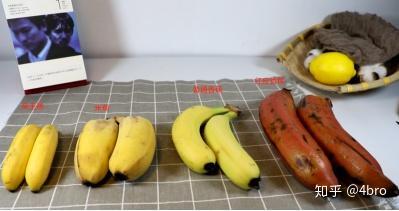 吃瓜椰椰,揭秘热带风情美食背后的故事