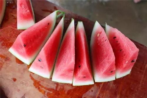 一路修仙吃瓜,吃瓜修仙记