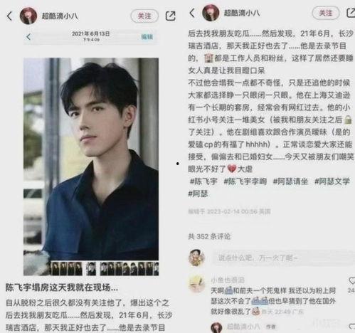 吃瓜网站陈飞宇,吃瓜网站热议的娱乐圈新星
