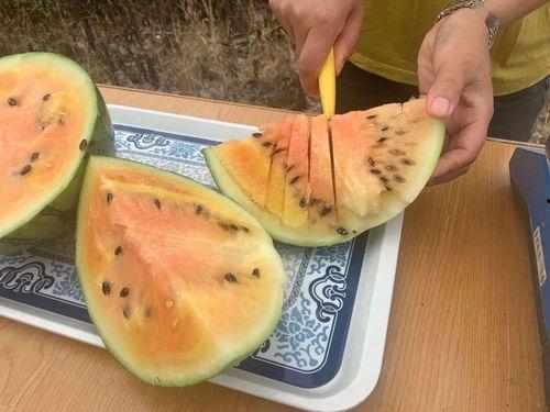 立体吃瓜,解锁夏日清凉新姿势