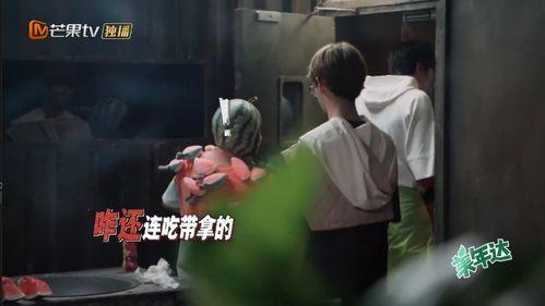 追星吃瓜小分队,揭秘娱乐圈幕后故事与粉丝生活