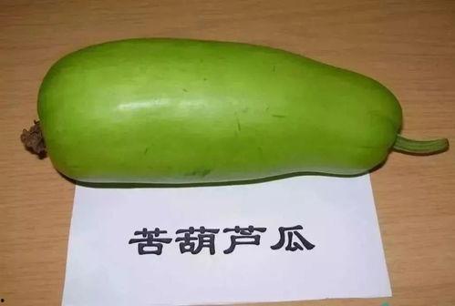 宝宝吃葫芦瓜视频,宝宝视频中的营养美味探索