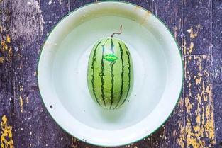 吃瓜铲子1元,揭秘娱乐圈幕后风云