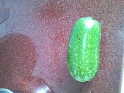 怀孕梦见瓜给别人吃,揭秘怀孕梦中的瓜分喜悦