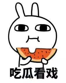 吃瓜群秒进,揭秘网络社交的狂欢与争议