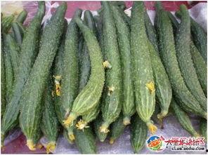 长瓜特效吃瓜,带你领略吃瓜新境界