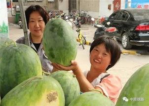 小区吃瓜最新事件,邻里纷争背后的真相揭秘