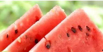 白癜风可以吃瓜吗,西瓜，可以吃吗？